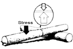 
When crosscutting logs supported at both ends, make two cuts in this sequence.
